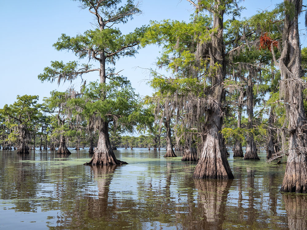 San Antonio Alamo Night 2