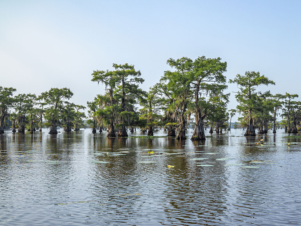 San Antonio Alamo Night 2