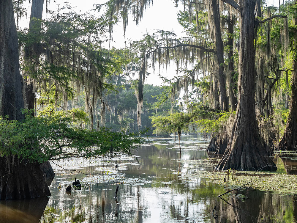 San Antonio Alamo Night 2