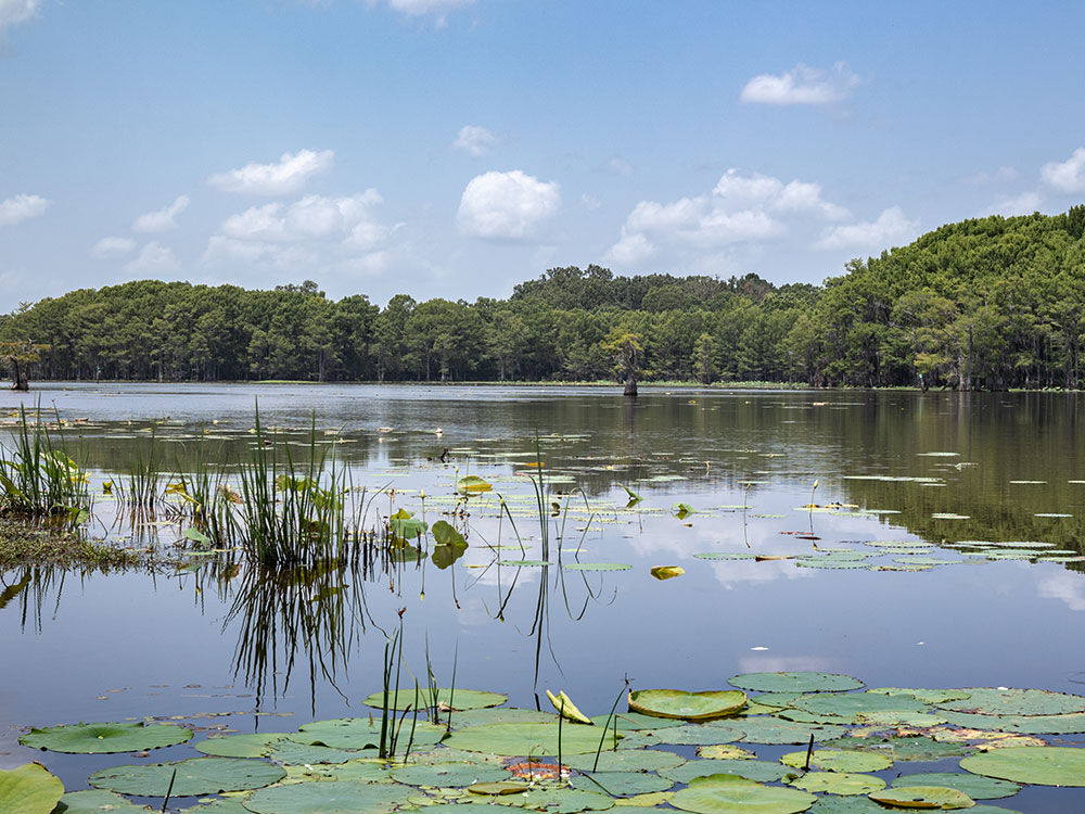 San Antonio Alamo Night 2