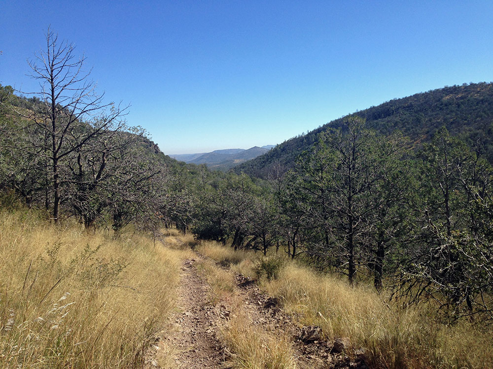 San Antonio Mission Concepcion 2