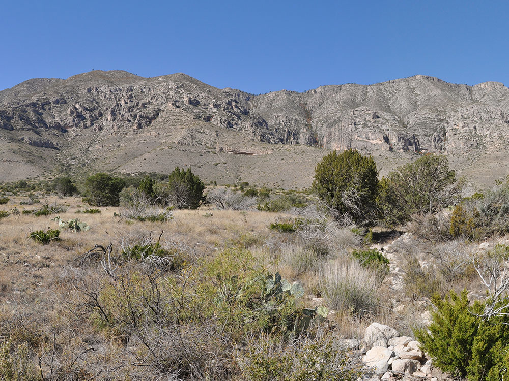 Guadalupe Mountains Valley