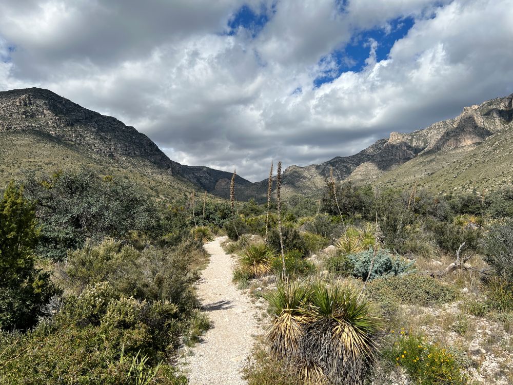 Guadalupe Mountains Dunes