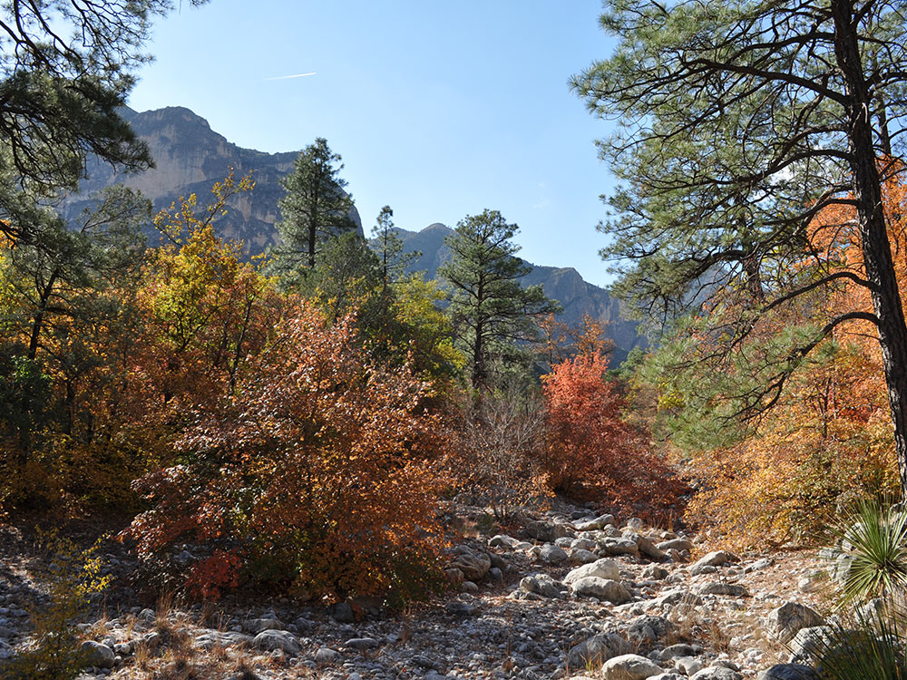 Guadalupe Mountains Campground