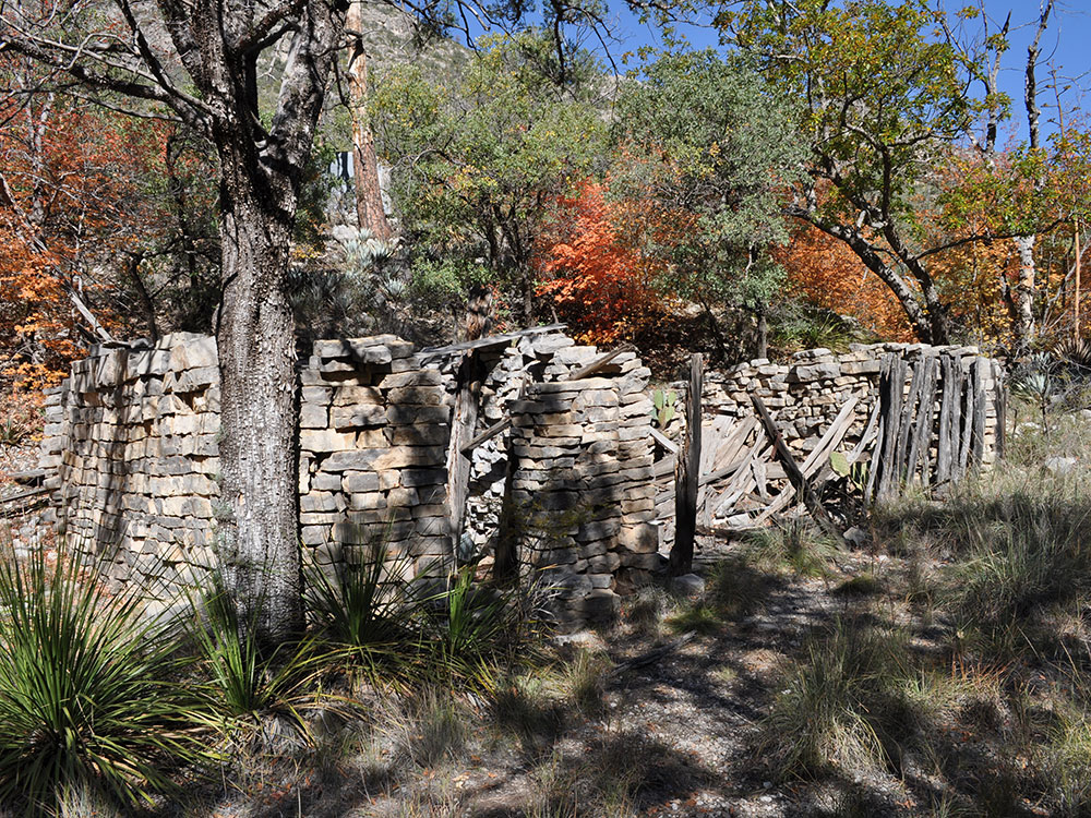 Guadalupe Mountains Dunes