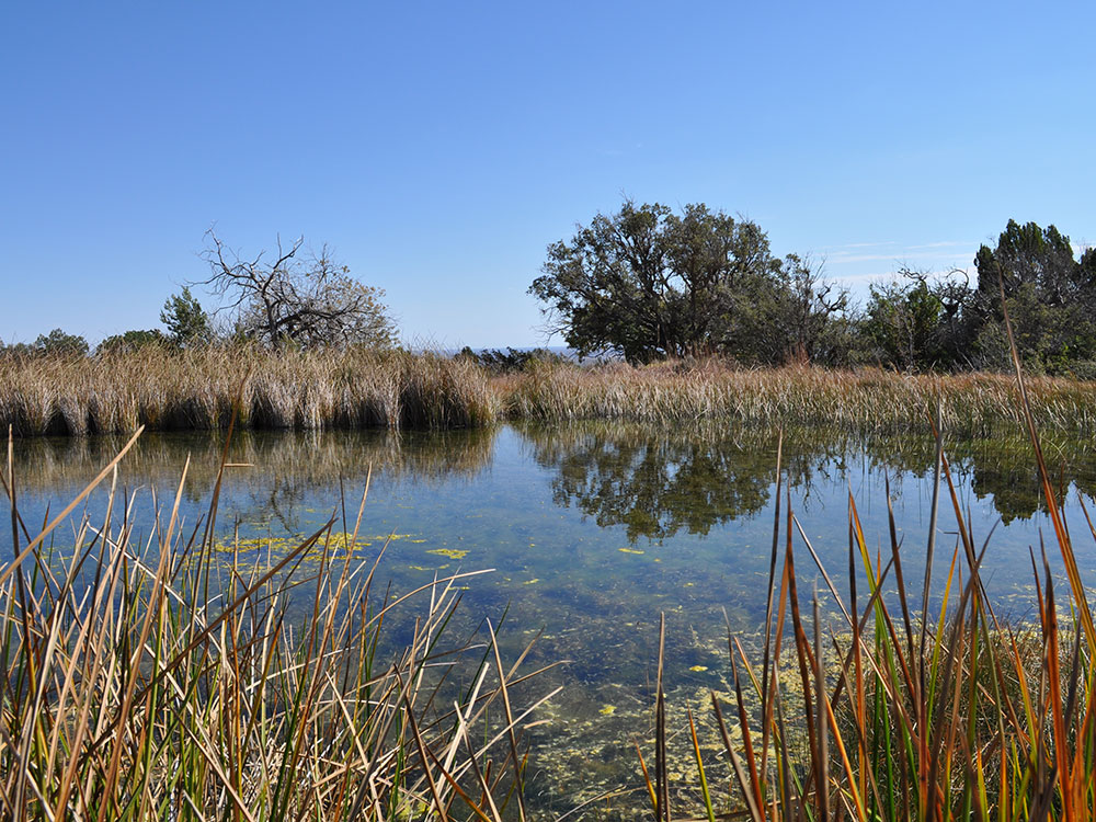 Guadalupe Mountains Campground