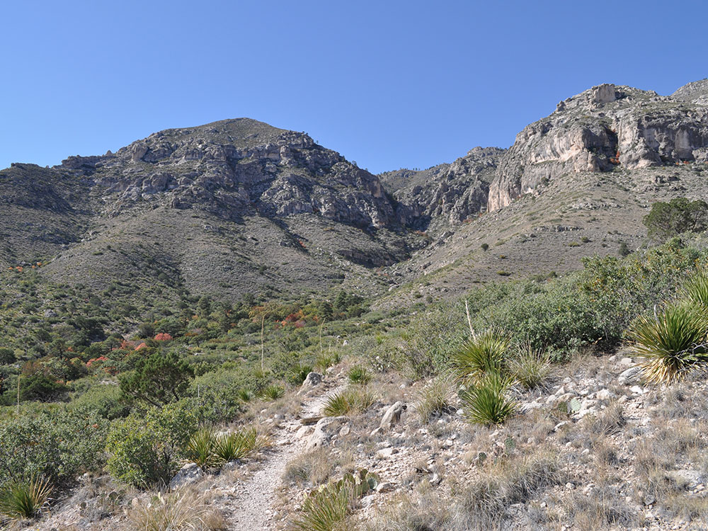 Guadalupe Mountains Campground