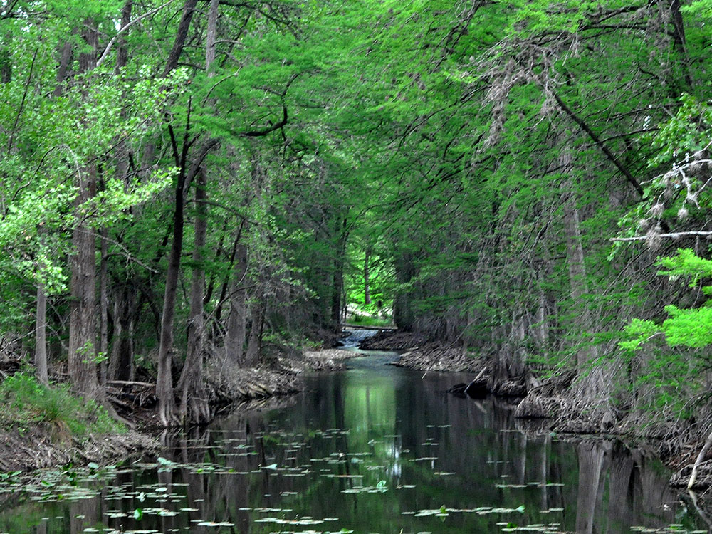 1892 Bishops Palace Front
