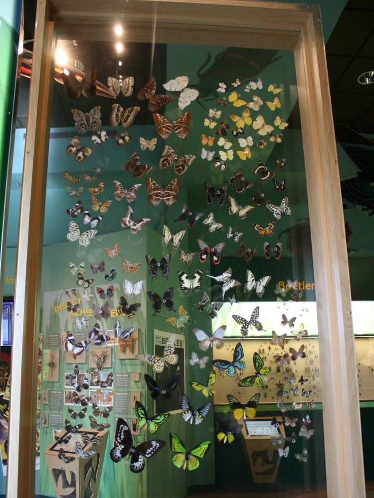 Houston Museum of Natural Science, Houston