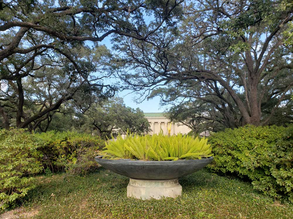 Museum Of Fine Arts Houston