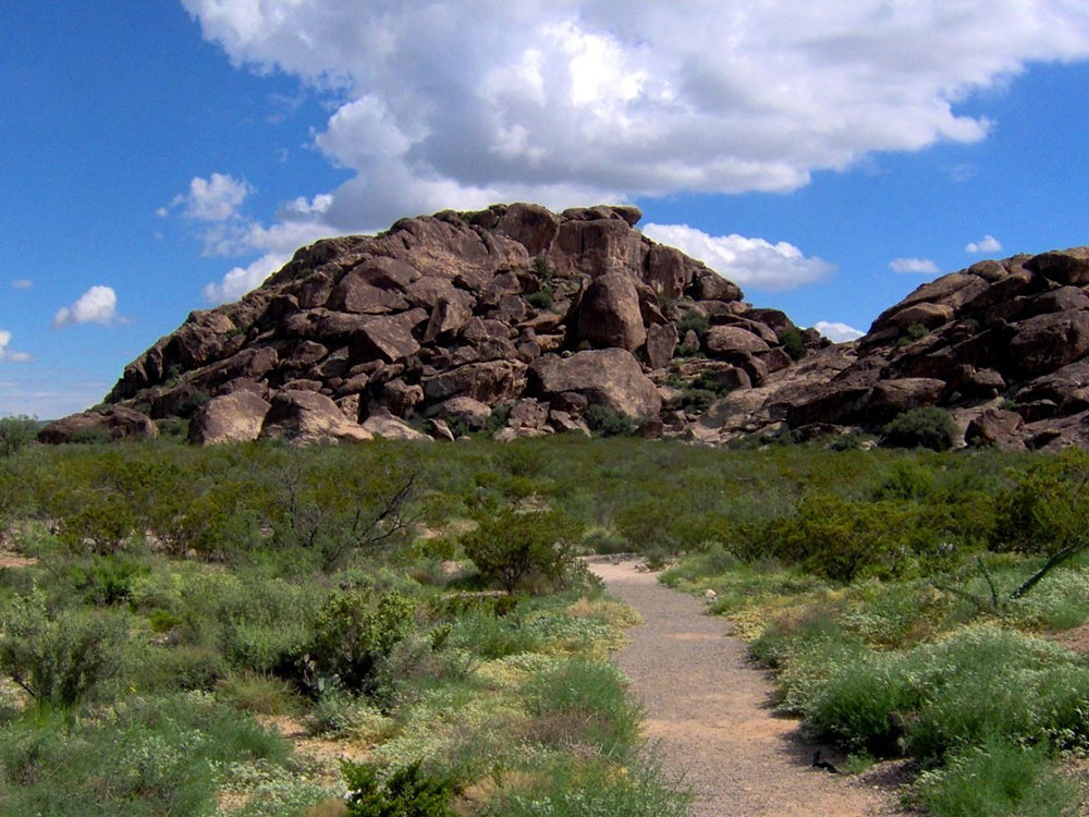 San Antonio Alamo Night 2