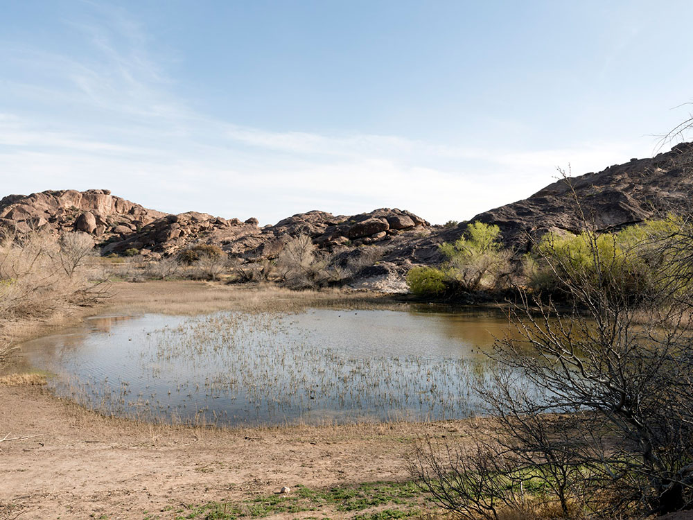 San Antonio Mission Concepcion 2