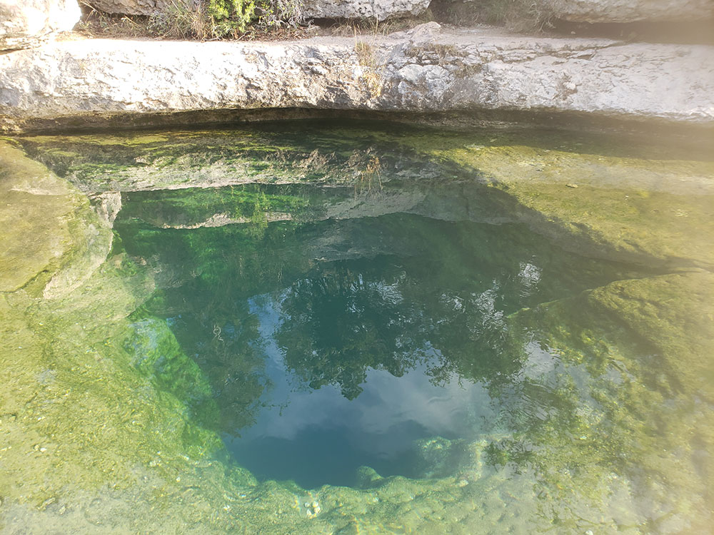 1892 Bishops Palace Front