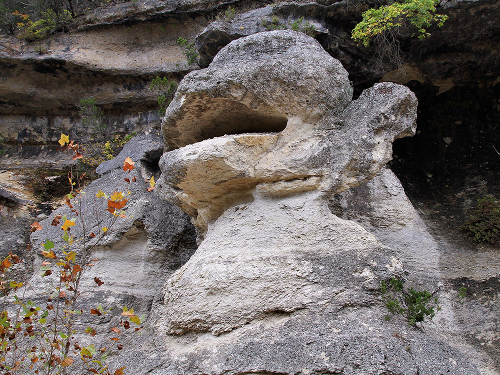 1892 Bishops Palace Front