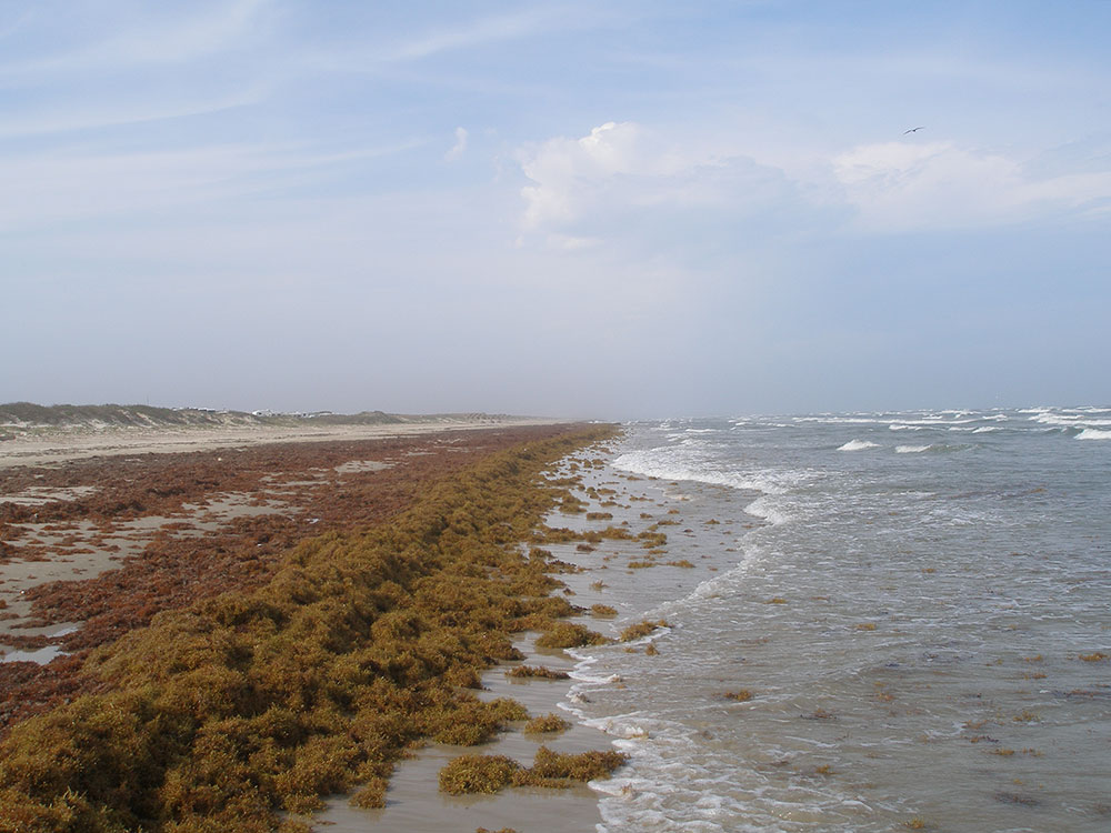 San Antonio Alamo Night 2