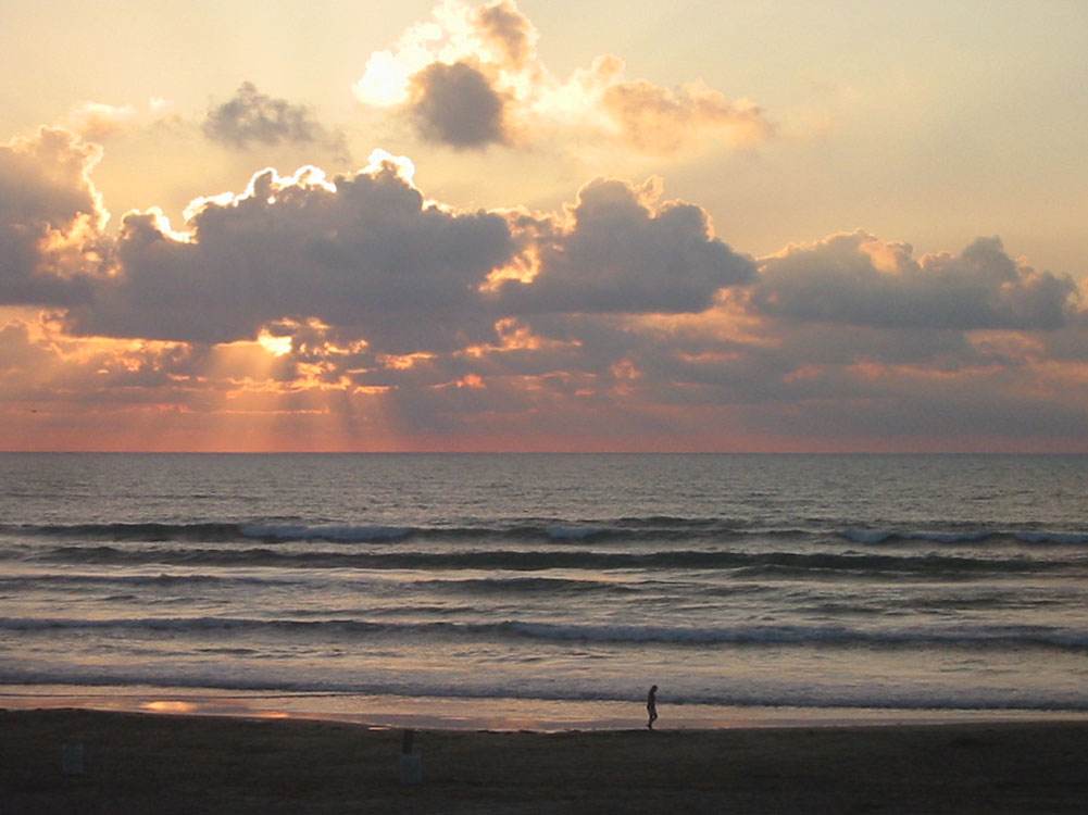 San Antonio Mission Concepcion 2