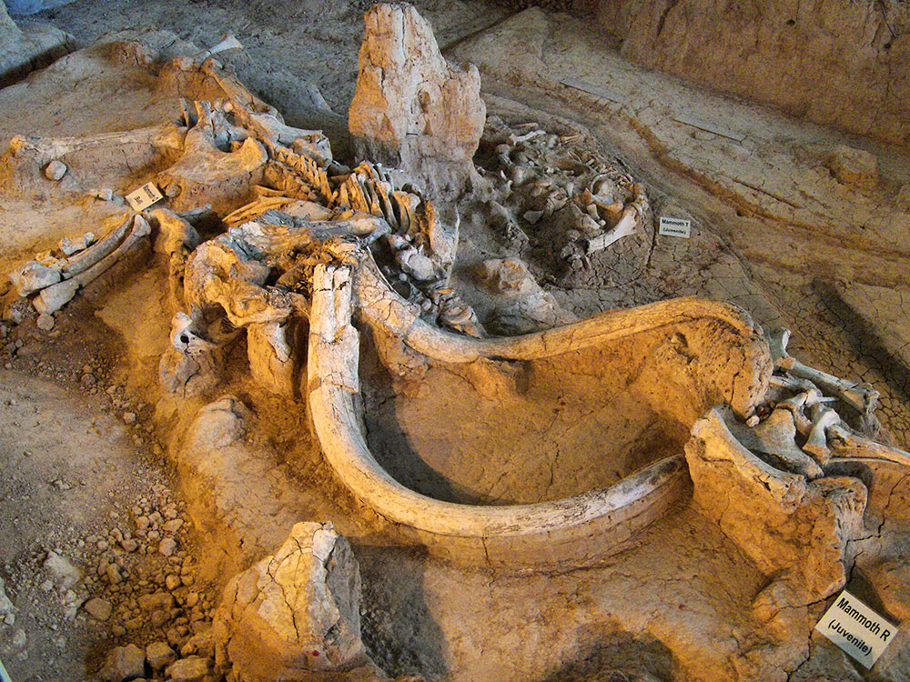 San Antonio Alamo Night 2