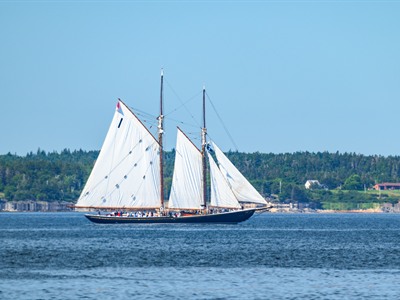 Schooner