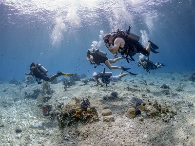 Scuba Diving