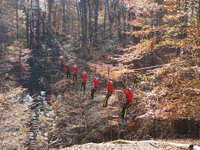 Zipline