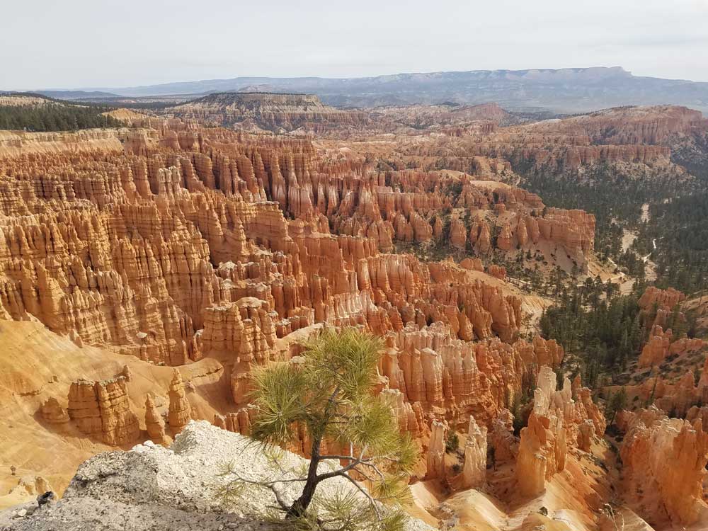Utah Bryce Canyon