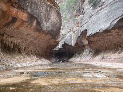 The Subway, Zion National Park, Utah
