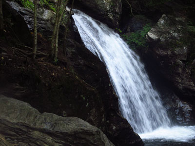 Badlands Bighorn Sheep Sage Creek Road