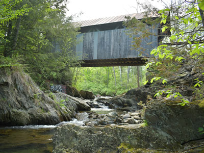 Badlands Bighorn Sheep Sage Creek Road