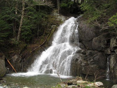 Badlands Bighorn Sheep Sage Creek Road