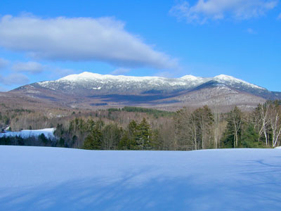 Badlands Bighorn Sheep Sage Creek Road