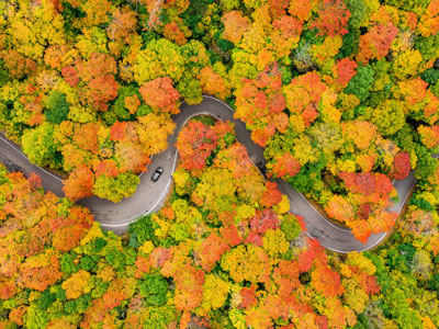 Badlands Bighorn Sheep Sage Creek Road