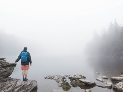 Badlands Bighorn Sheep Sage Creek Road
