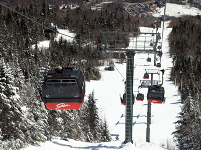 Badlands Bighorn Sheep Sage Creek Road