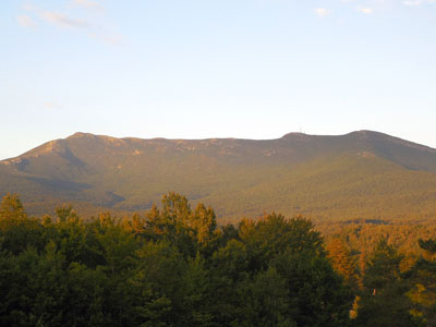 Badlands Bighorn Sheep Sage Creek Road