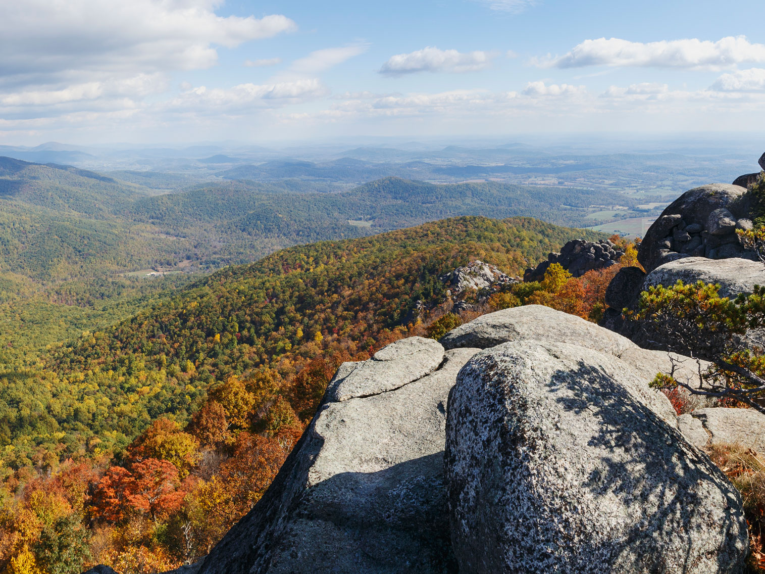 shenandoah