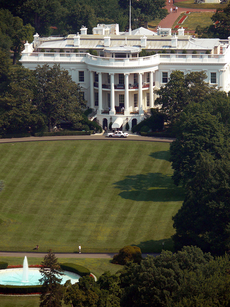 The White House National Tree