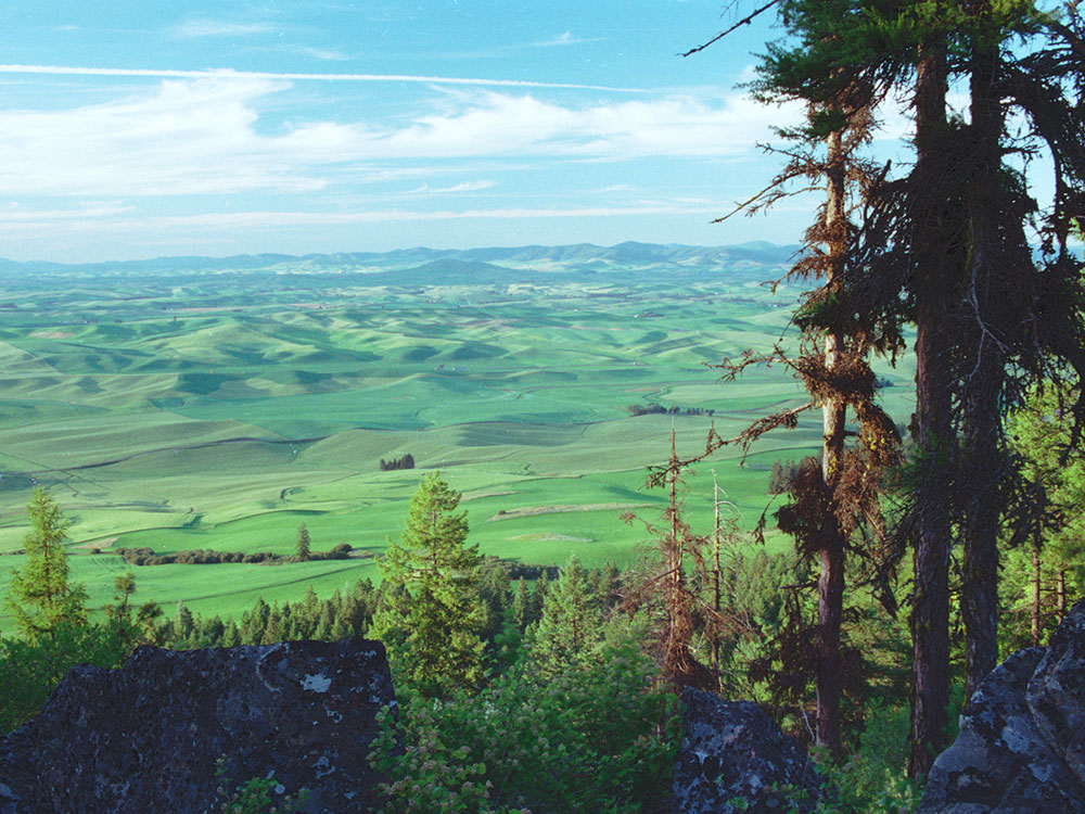 Crater Lake Watchman Trail Road