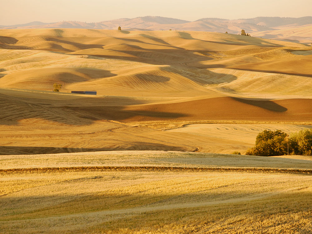 Crater Lake Watchman Trail Road