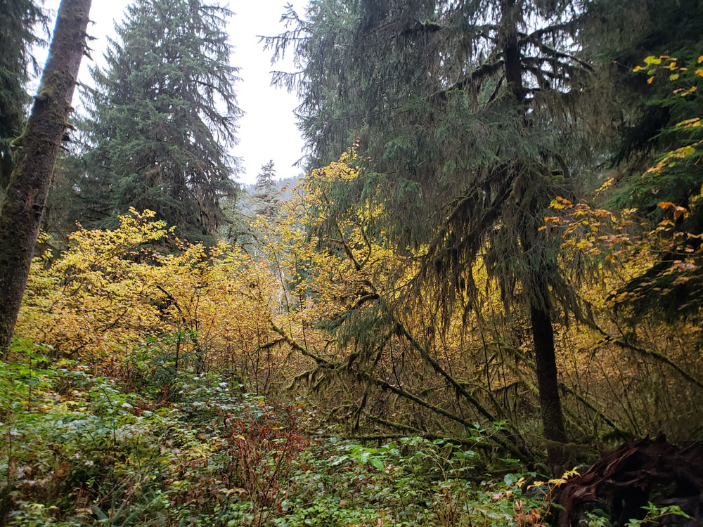 Crater Lake Cliff Overlook
