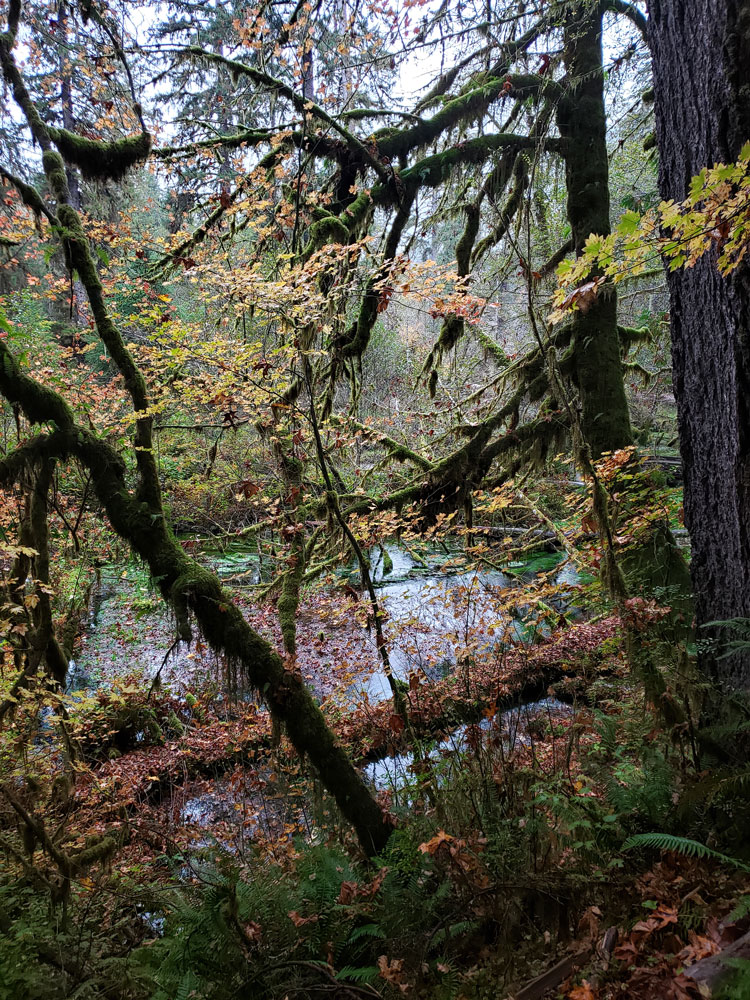 Crater Lake Snowy Cliffs