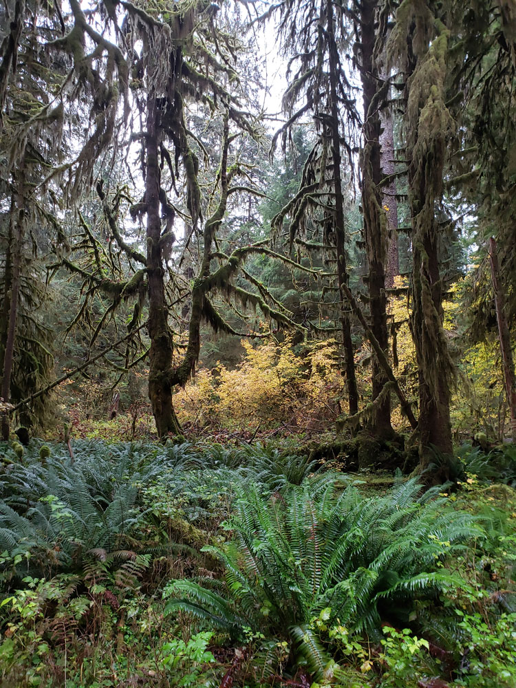 Crater Lake Tall Cliff