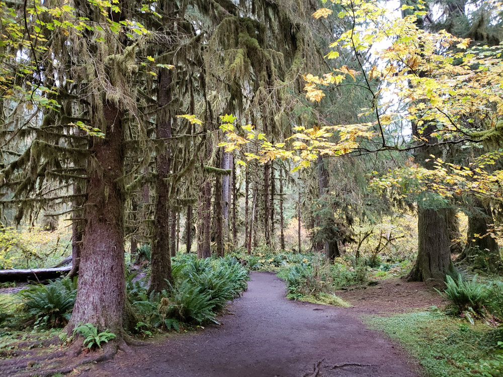 Crater Lake Wizard Island Center