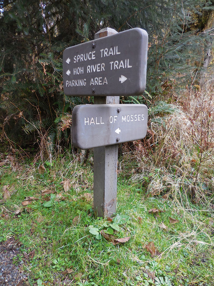 Crater Lake Watchman Trail Snow