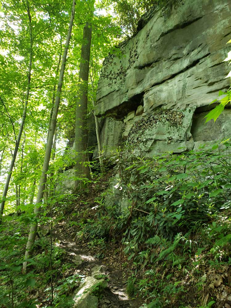 new-river-gorge-wall