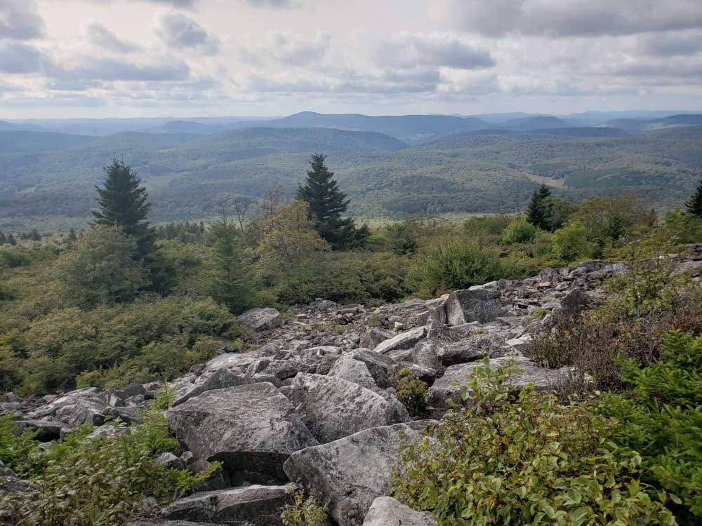 spruce-knob