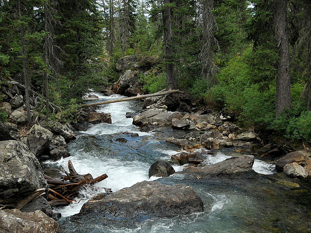 Grand Canyon Yellowstone Cliffs