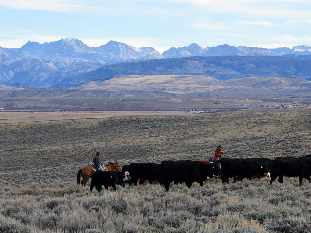 Grand Canyon Yellowstone Cliffs