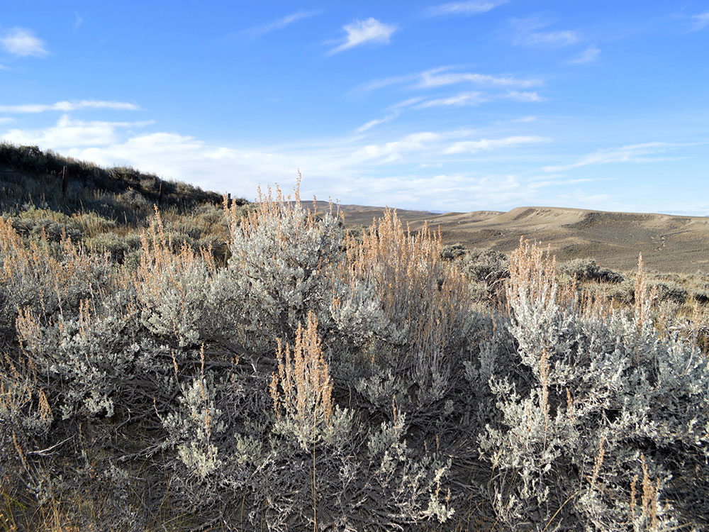 Grand Canyon Yellowstone Cliffs