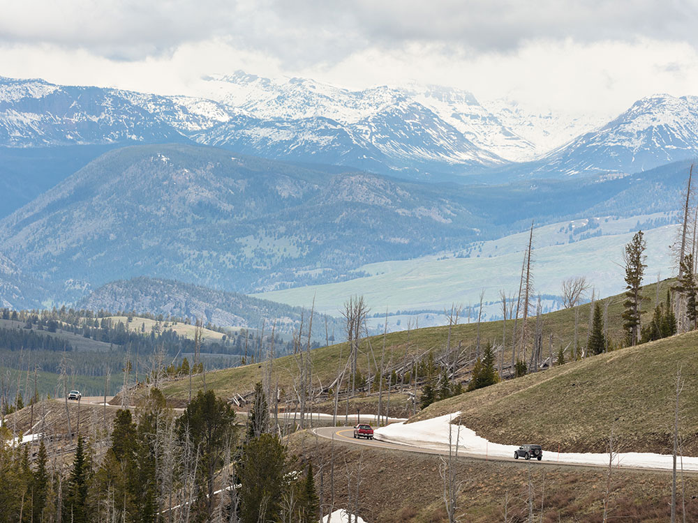 Grand Loop Road from Tower Junction to Canyon Village, Yellowstone