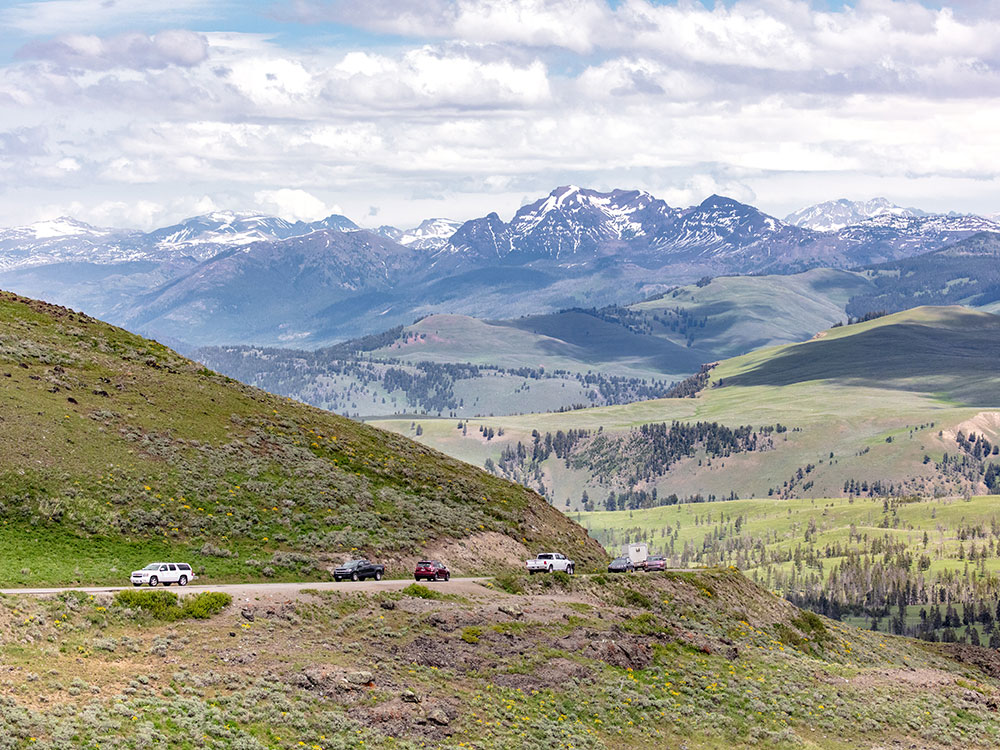 Road view near Canyon Village, Yellowstone National Park